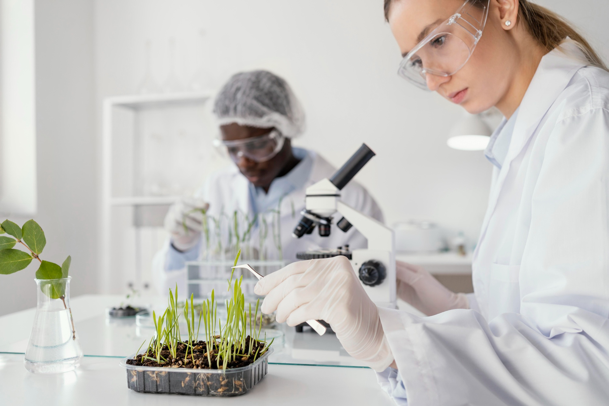 Innovation in Agriculture